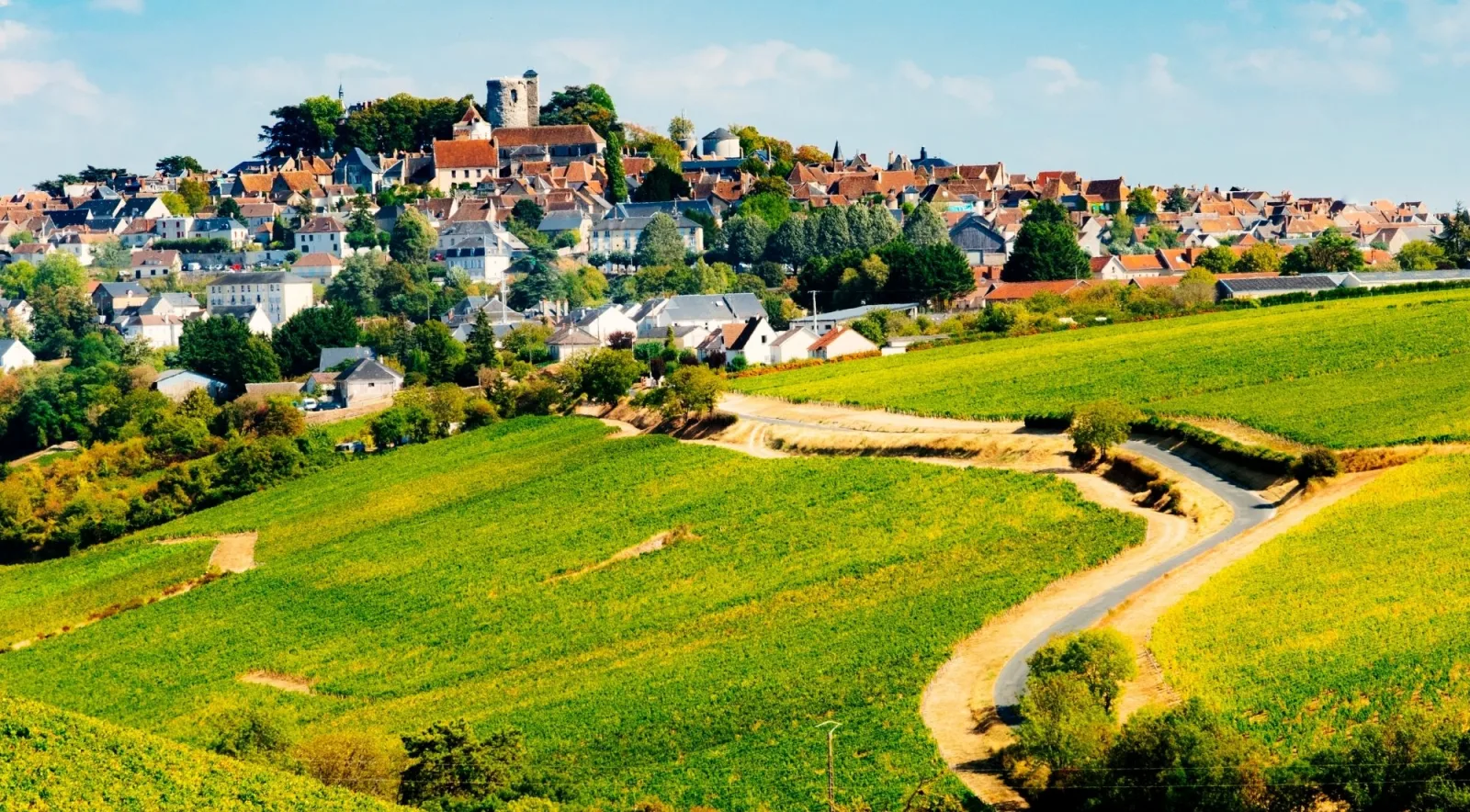 The hilltop wine village of Sancerre above its vineyards