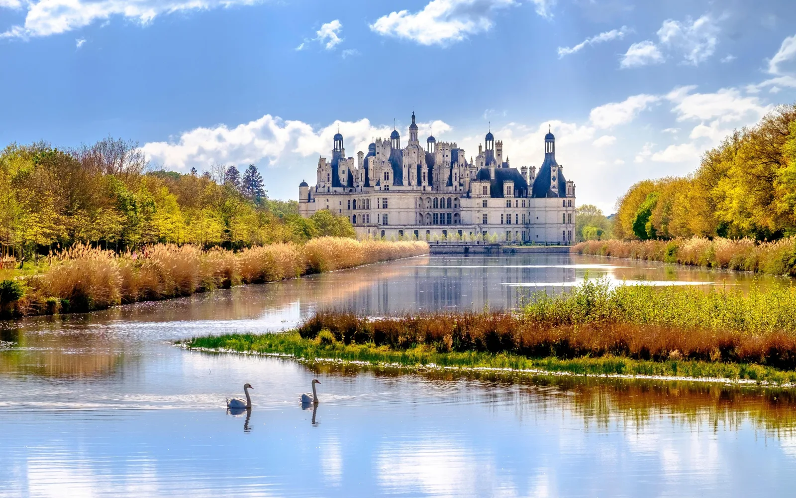 Château de Chambord mirrored in the Cosson with black swans on the water