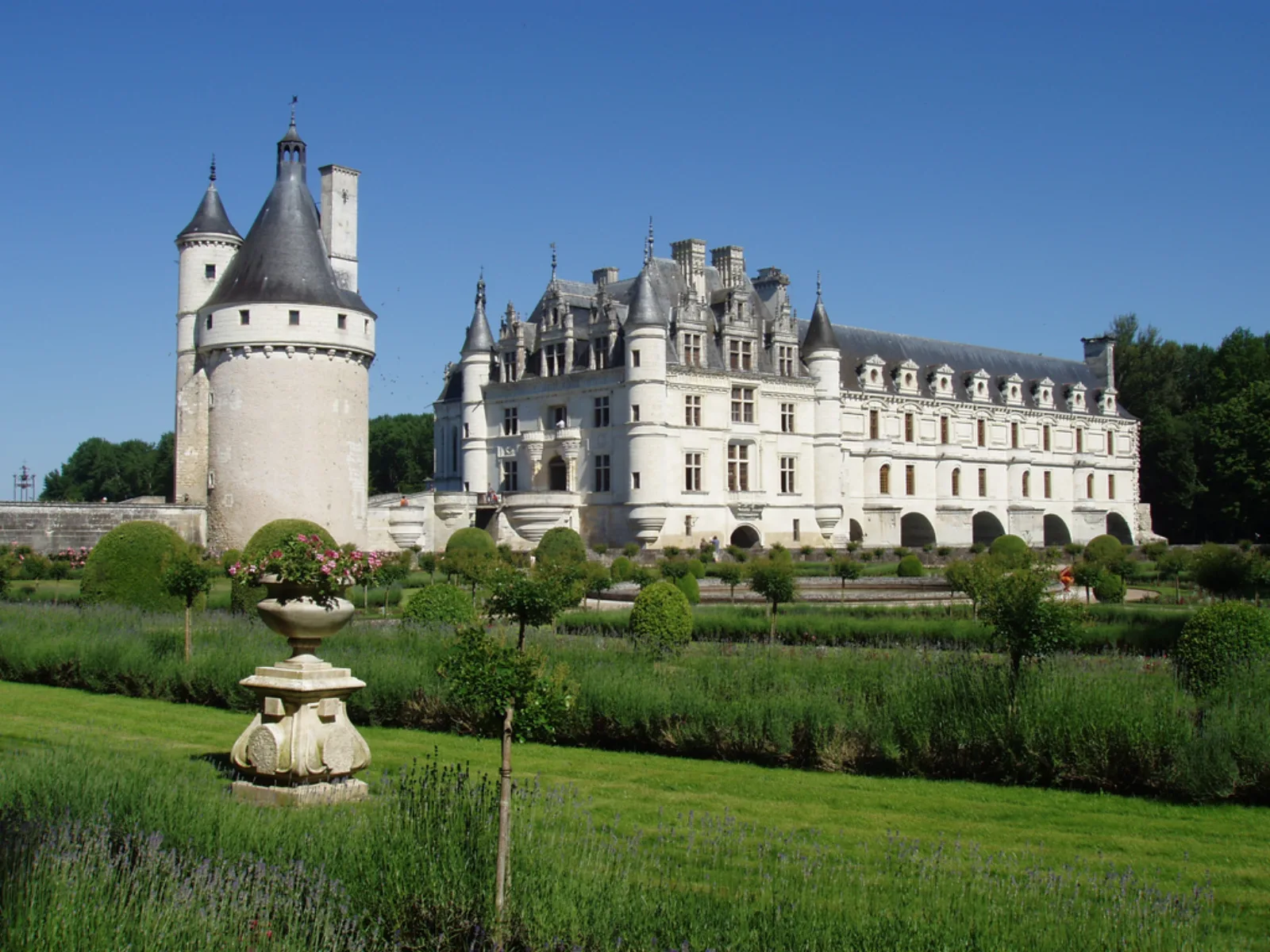 Château de Chenonceau and its lavender-edged garden from the riverbank