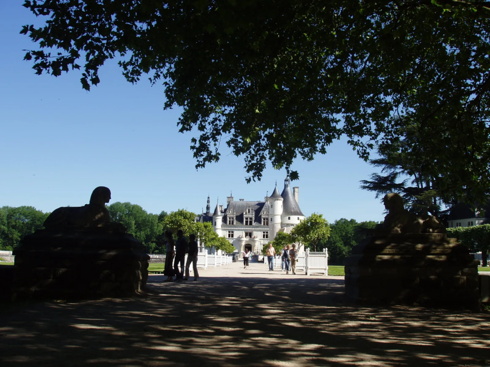 Château de Chenonceau framed by trees at the end of the estate avenue