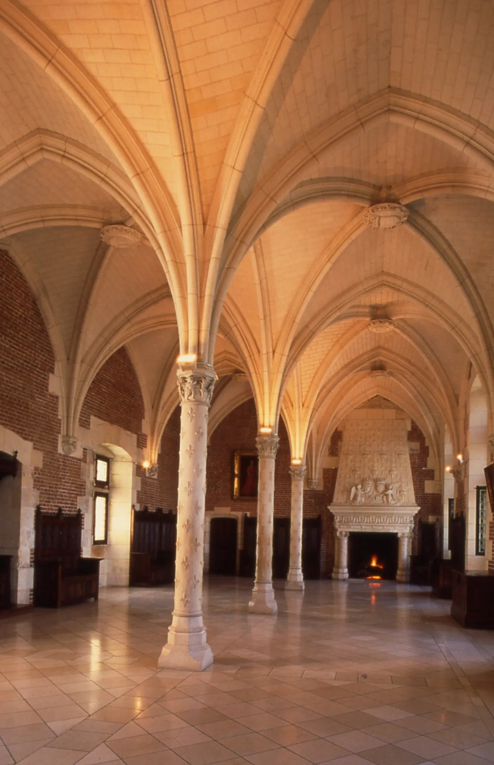 The vaulted Gothic hall inside a Loire Valley château