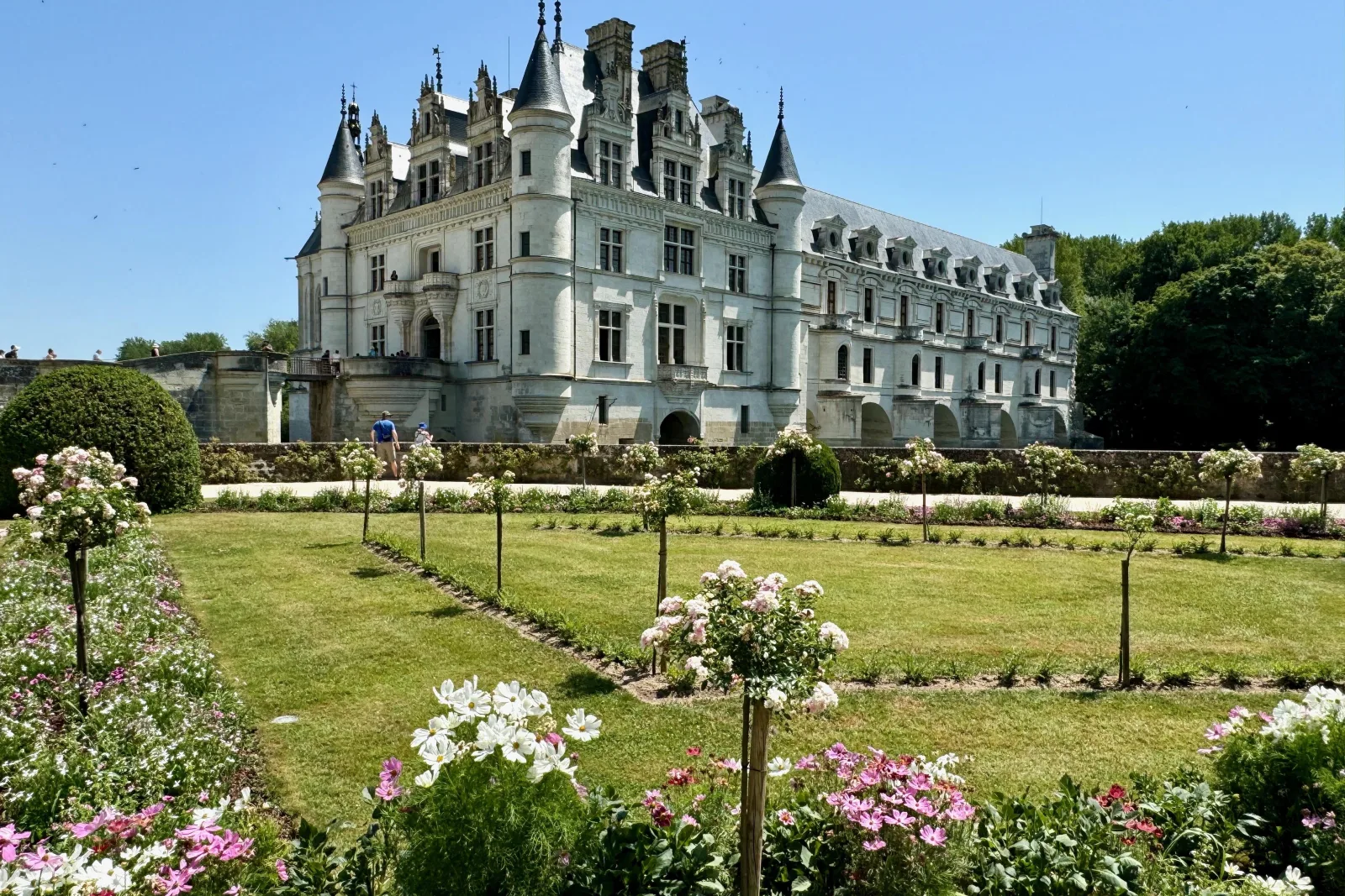 Château de Chenonceau above its rose garden in summer