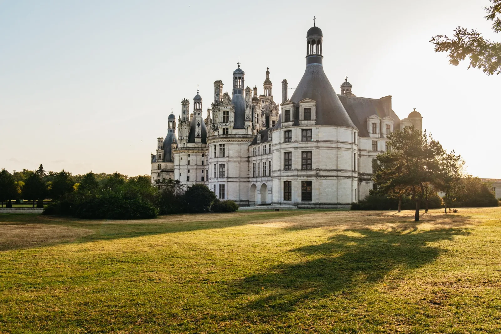 Loire Wine Day from Paris: Chambord Castle, 6 Tastings&Lunch