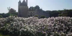 Guest photo from review