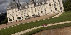 Guest photo from review